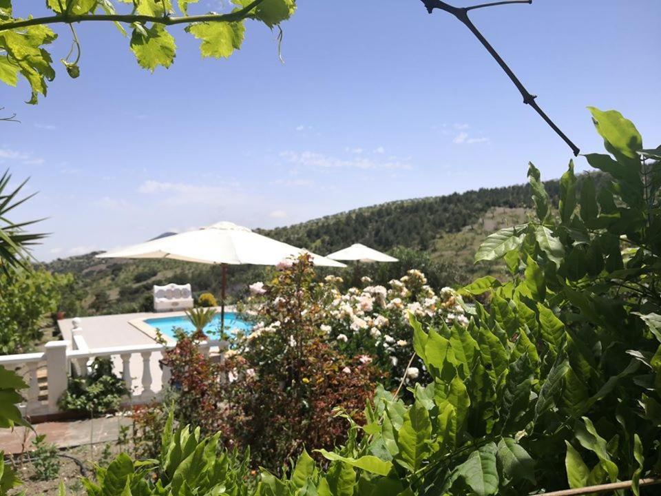 Casa Joya Aparthotel La Losilla Buitenkant foto